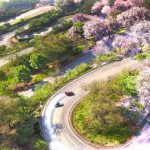 Forza Horizon 6 – Discover Japan | Biomes Showcase Trailer